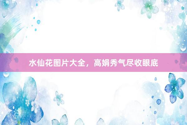 水仙花图片大全，高娟秀气尽收眼底