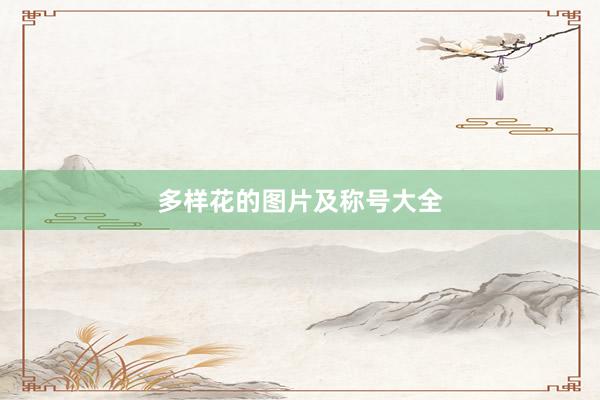 多样花的图片及称号大全