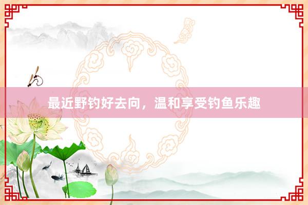 最近野钓好去向，温和享受钓鱼乐趣