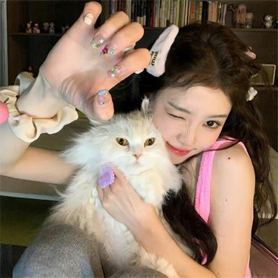 所有错误的理由